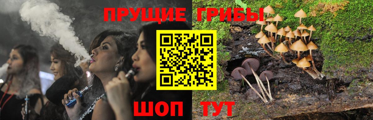 Кстово  наркотики  Вход с VPN  Псилоцибиновые грибы Magic Shrooms 
