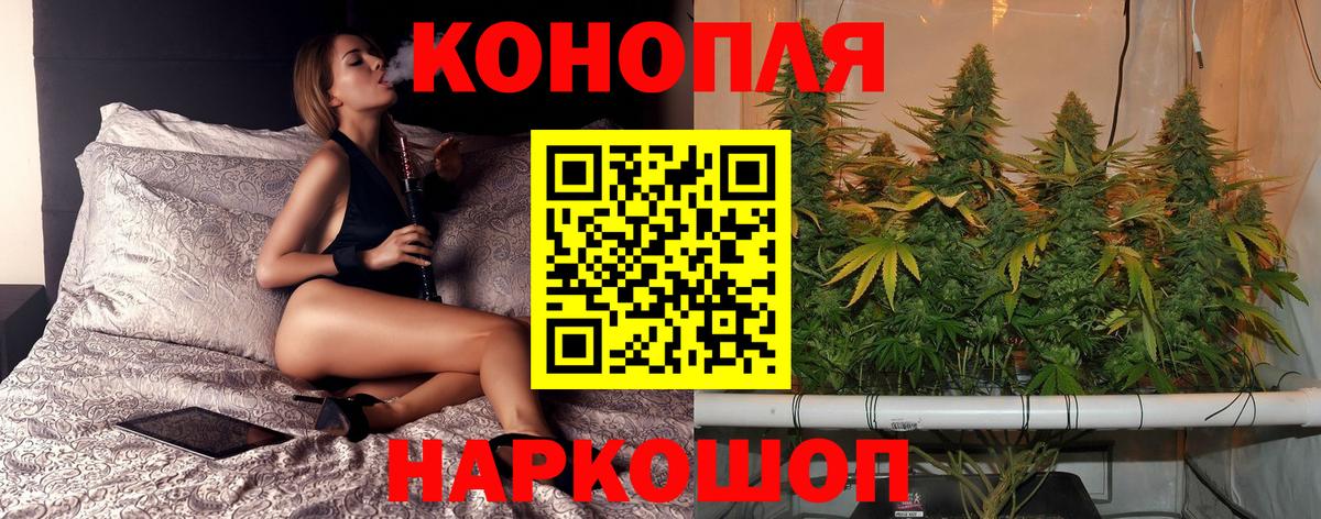 Бошки Шишки гибрид Кстово